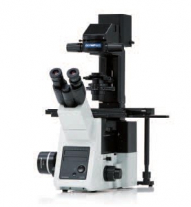 奥林巴斯倒置荧光显微镜IX73